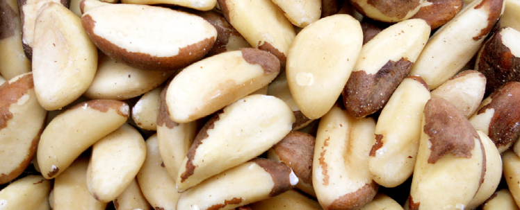 Bild 1 von Paranüsse (Steinnuss)  natur - unbehandelt - 1 kg  / (Gewicht) 1 kg