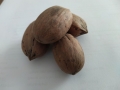Bild 4 von Pecan Nüsse in der Schale natur unbehandelt  / (Gewicht) 1000