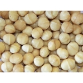 Bild 4 von Macadamia frittiert 250 gr.