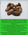 Bild 2 von Pekannüsse natur unbehandelt 750 gr.  / (Gewicht) 3000