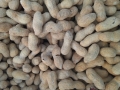 Bild 4 von Erdnüsse Natur, unbehandelt / Roh in der Schale