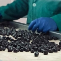 Bild 3 von Oliven, schwarz , dehydriert in Scheiben 1 kg -seco-