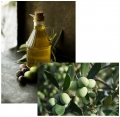 Bild 2 von Olivenöl -  ungefiltert - 2 L. PET Flasche