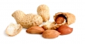Bild 2 von Erdnüsse geröstet in der Schale  / (Gewicht) 1 kg